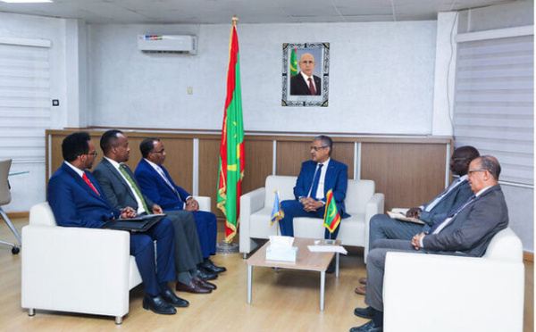 Le ministre de l’Énergie reçoit le ministre des Affaires étrangères du Somali