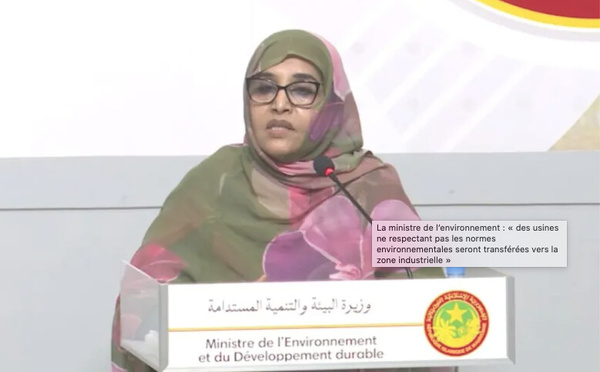 La ministre de l’environnement : « des usines ne respectant pas les normes environnementales seront transférées vers la zone industrielle »