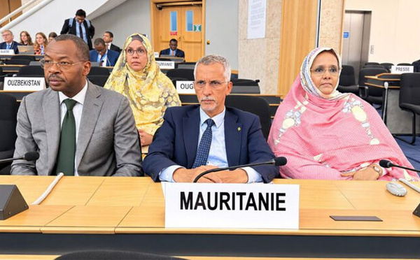 Le Commissaire aux droits de l’homme participe à une réunion de haut niveau à l’occasion du 60e anniversaire de l’adoption des deux Pactes internationaux relatifs aux droits de l’homme
