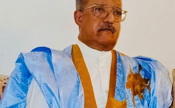 La démocratie du Sud et les mandats présidentiels.Par Hamoud Ould Ely, ancien ministre et ancien ambassadeur